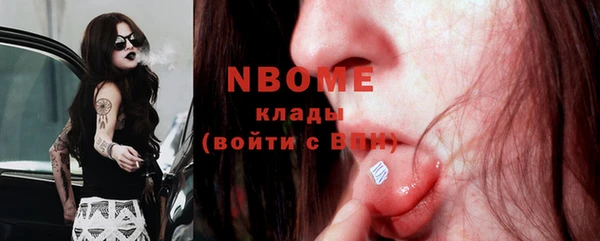 стаф Магас