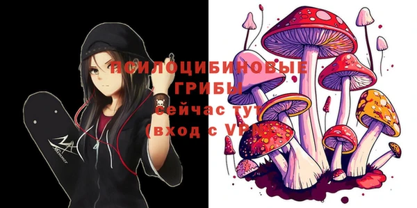 стаф Магас