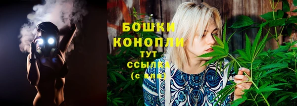 шишки Лихославль