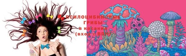 шишки Лихославль