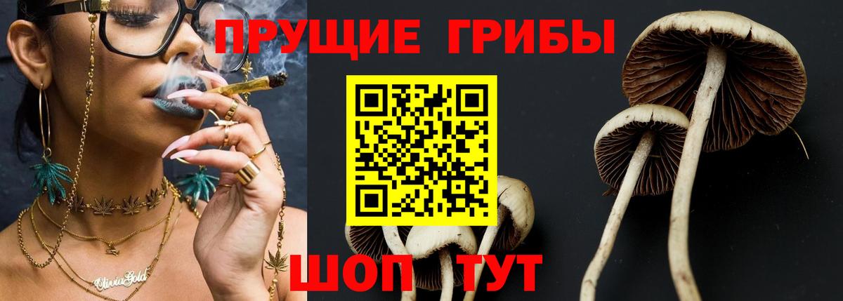 Псилоцибиновые грибы мухоморы  Вход с VPN  Коммунар 